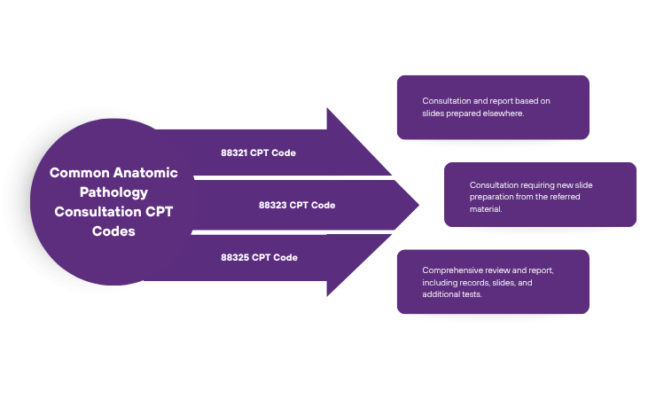 common anatomic pathology consultation cpt codes 